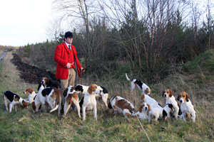 Coniston Foxhounds by Neil Salisbury