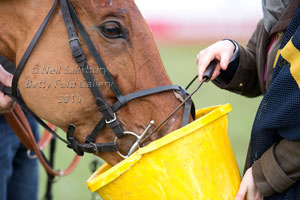 Point to Point Photography by Betty Fold Gallery