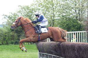 Coniston Hotel Racing Club horses by Betty Fold Gallery