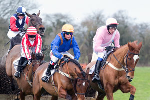 Point to Point pictures by Betty Fold Gallery