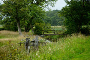 Eskdale Photography by Betty Fold Gallery