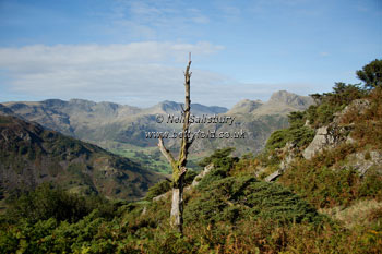 Great Langdale Images by Betty Fold Gallery