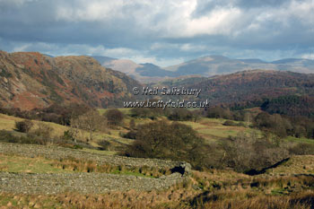 Images of Lakeland by Betty Fold Gallery