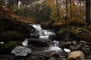 Waterfalls at Rydal by Betty Fold Gallery