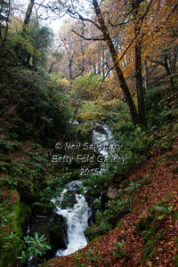 Lakeland Waterfalls