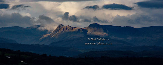 Langdale Pikes Photography by Betty Fold Gallery