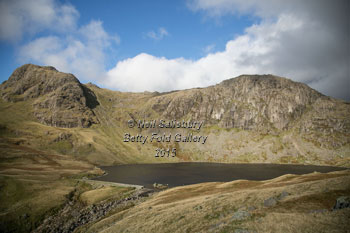 Langdale Photography