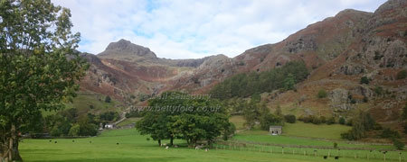 Langdale Photography by Betty Fold Gallery