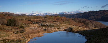 Lakeland Photography by Betty Fold Gallery