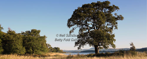 Bassenthwaite Photography by Betty Fold Gallery