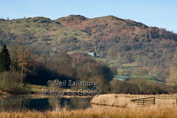 Lake District Photography by Betty Fold Gallery