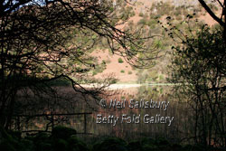 Brotherswater by Betty Fold Gallery