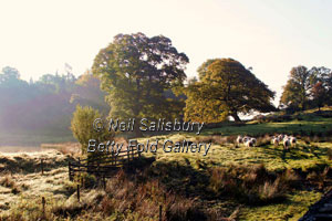 Lakeland Photographs by Betty Fold Gallery