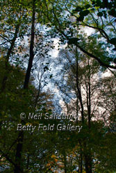 Images of Lakeland by Betty Fold Gallery