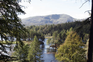 Tarn Hows photography by Betty Fold Gallery