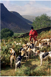 Hunting image of Lake District by Neil Salisbury