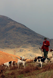 Coniston fells by Neil Salisbury