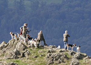 Coniston Foxhounds Images of Lakeland by Betty Fold Gallery