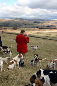 Hunting Images lake district by Neil Salisbury