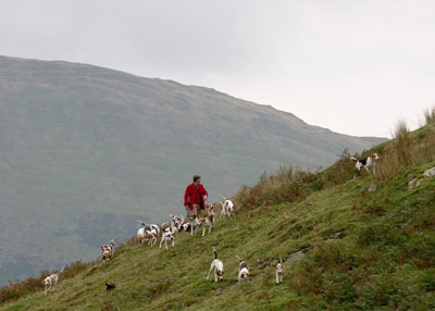 Hounds on the fells by Lake District photographer Neil Salisbury