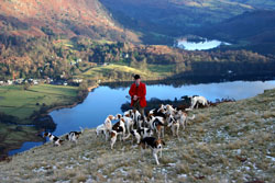 Foxhounds above Grasmere by Betty Fold Gallery