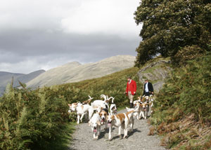 North Tyne Foxhounds and Coniston Foxhounds by Neil Salisbury