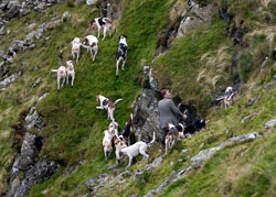 Ullswater Foxhounds Lake District photography by Neil Salisbury