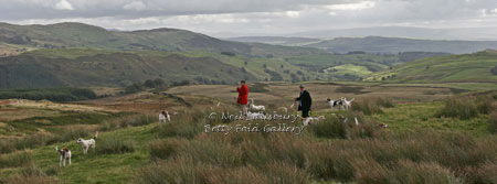 Hunting in Kentmere by Betty Fold Gallery