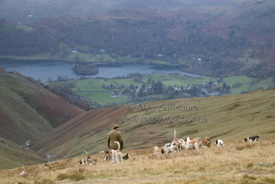Hounds at Grasmere