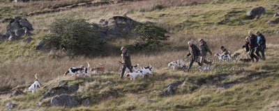 Early season in the Lakes by Betty Fold Gallery