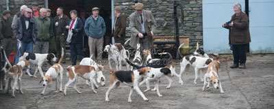 Hounds in Kentmere