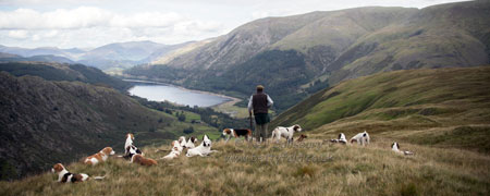 Thirlmere hunting