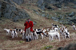 Fox Hunting- Lakedistrict, Photography by Lakeland Images