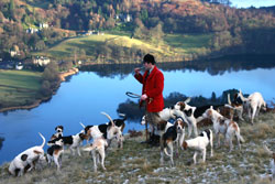 Fox Hunting- Lakedistrict, Photography by Betty Fold Gallery